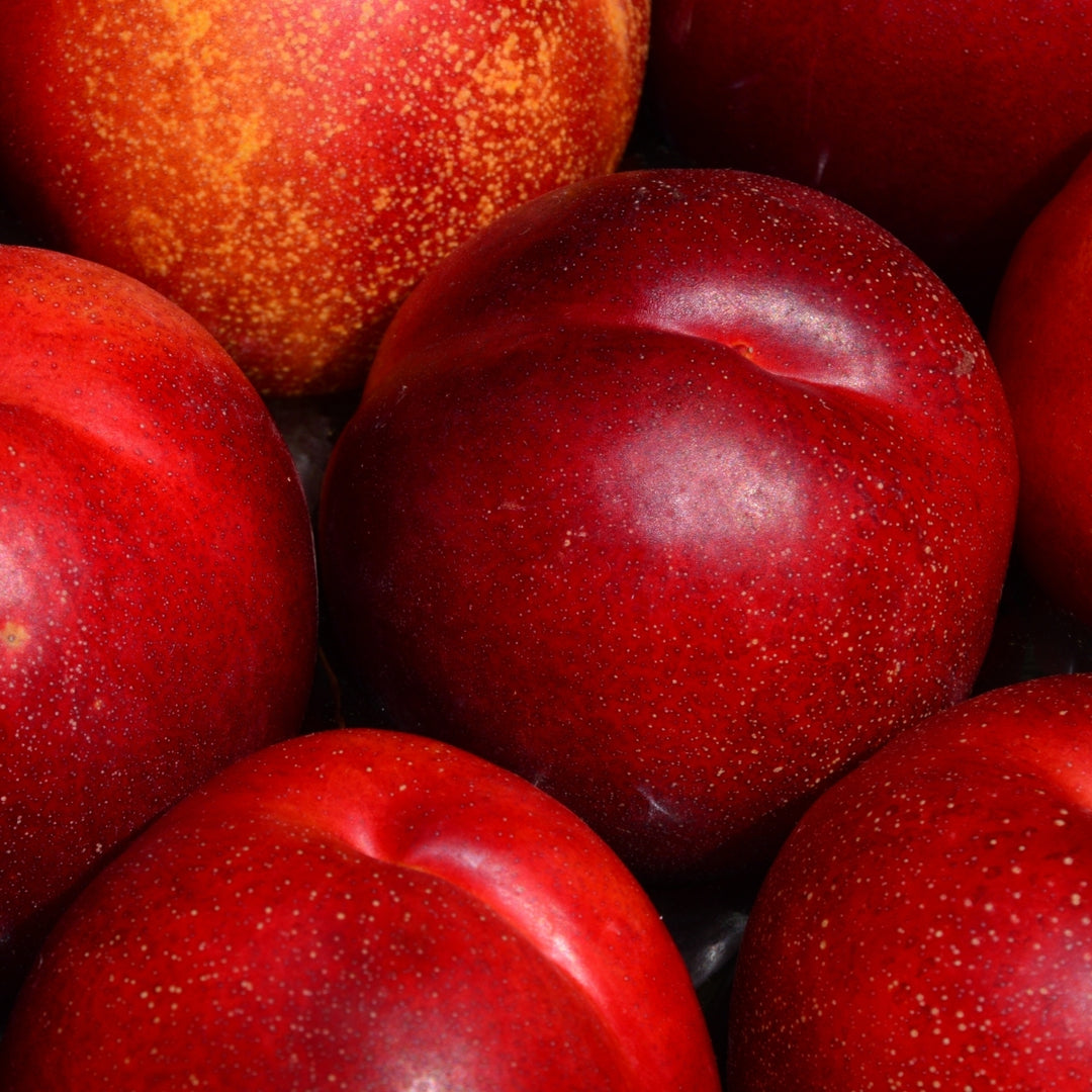 Almond Blossom Nectarine Shower Cream