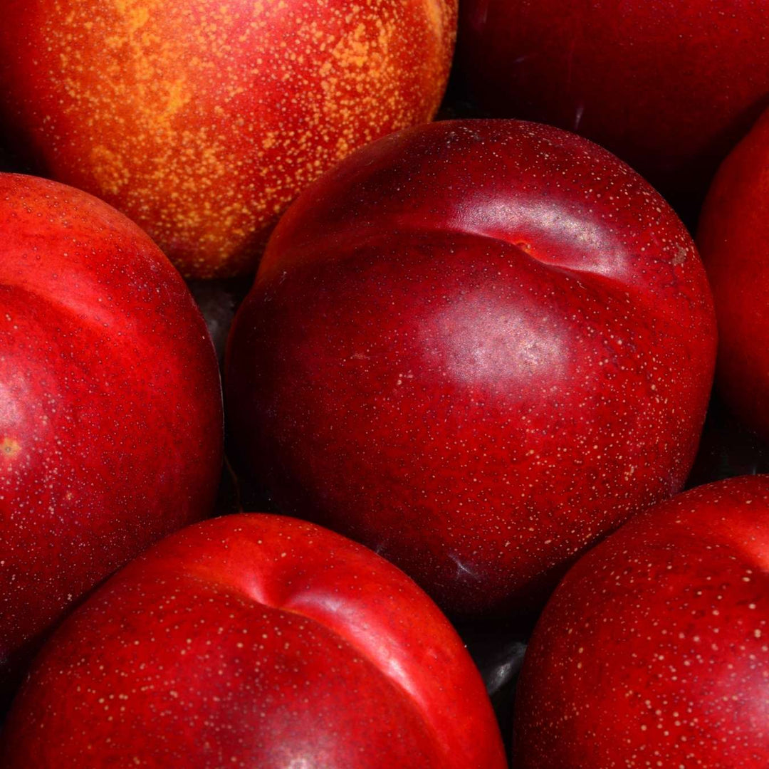 le petit olivier creme douche extra douce hydratante fleur amandier nectarine ingredient