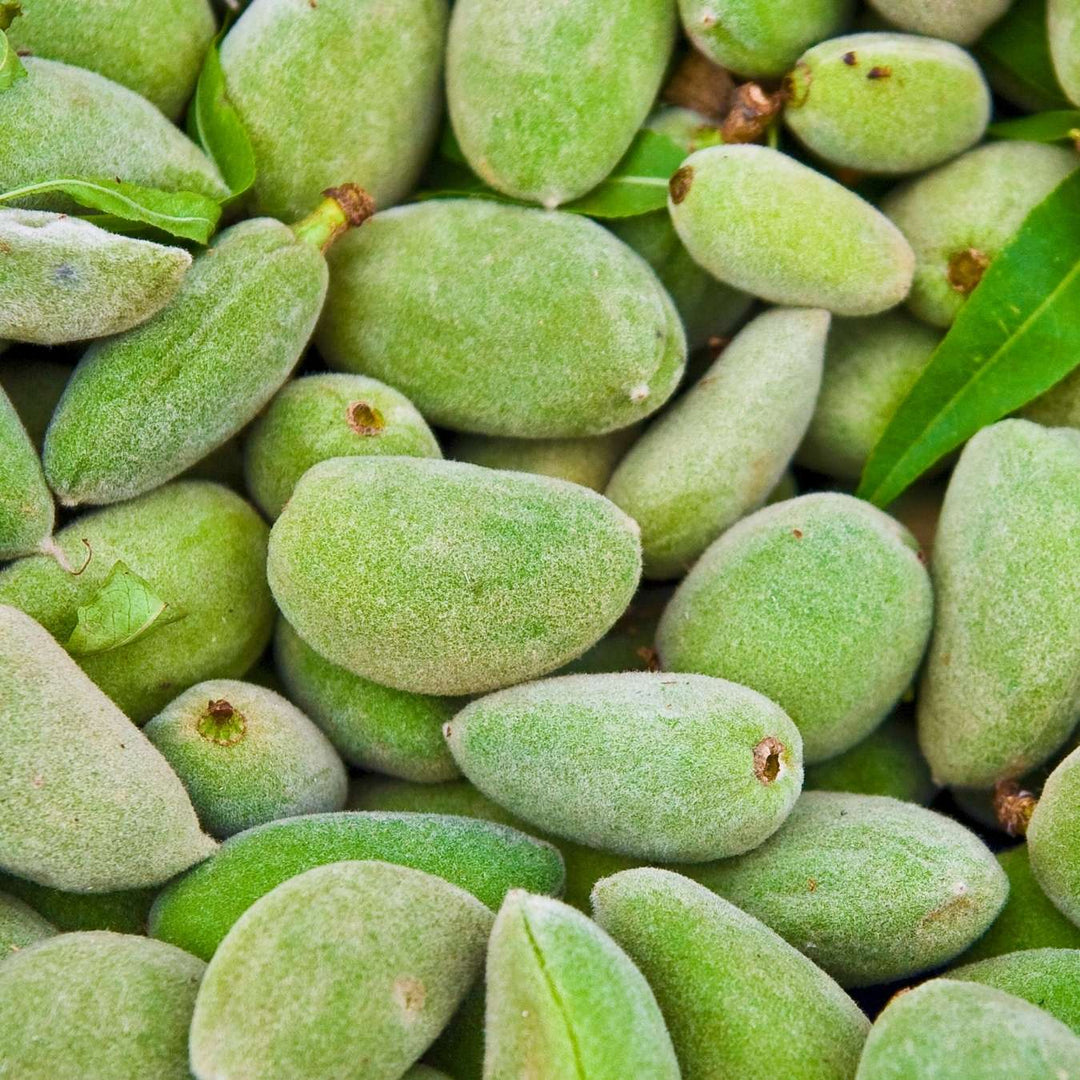 le petit olivier demelant sans rincage soin douceur amande douce riz ingredient