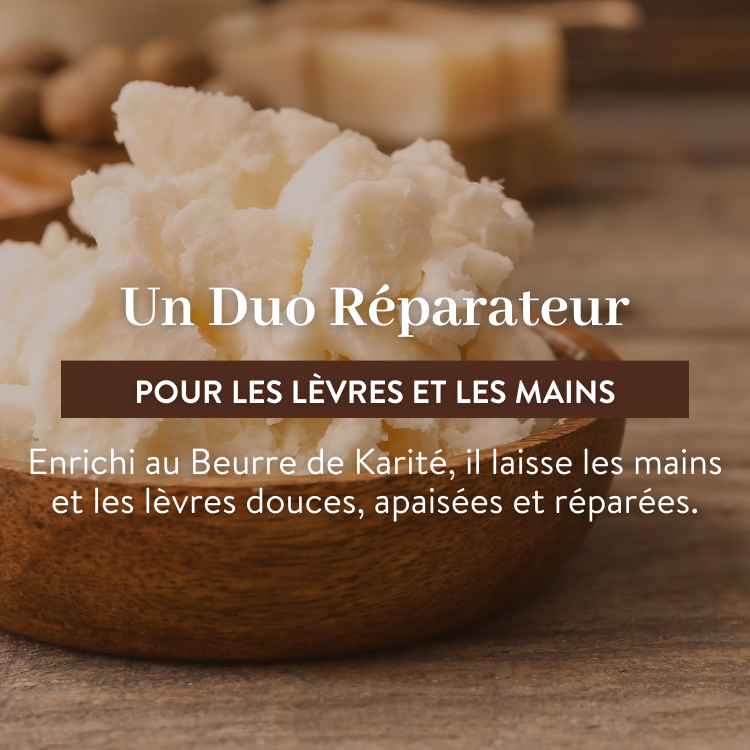 le petit olivier duo reparateur mains et levres karite ingredient descpng