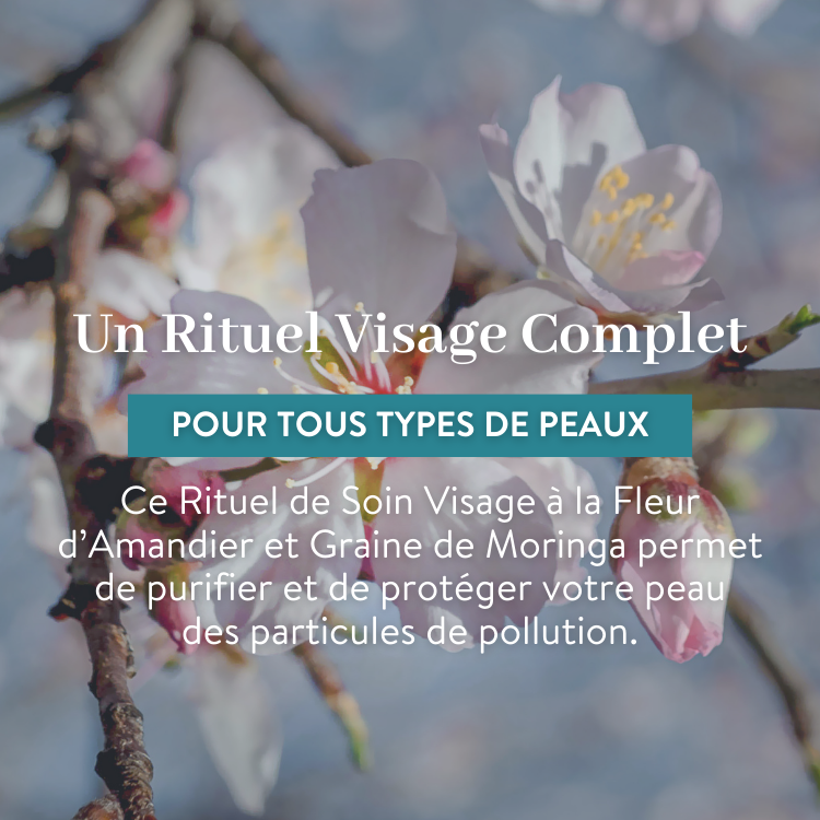 le petit olivier rituel visage complet detox anti pollution ingredient descpng