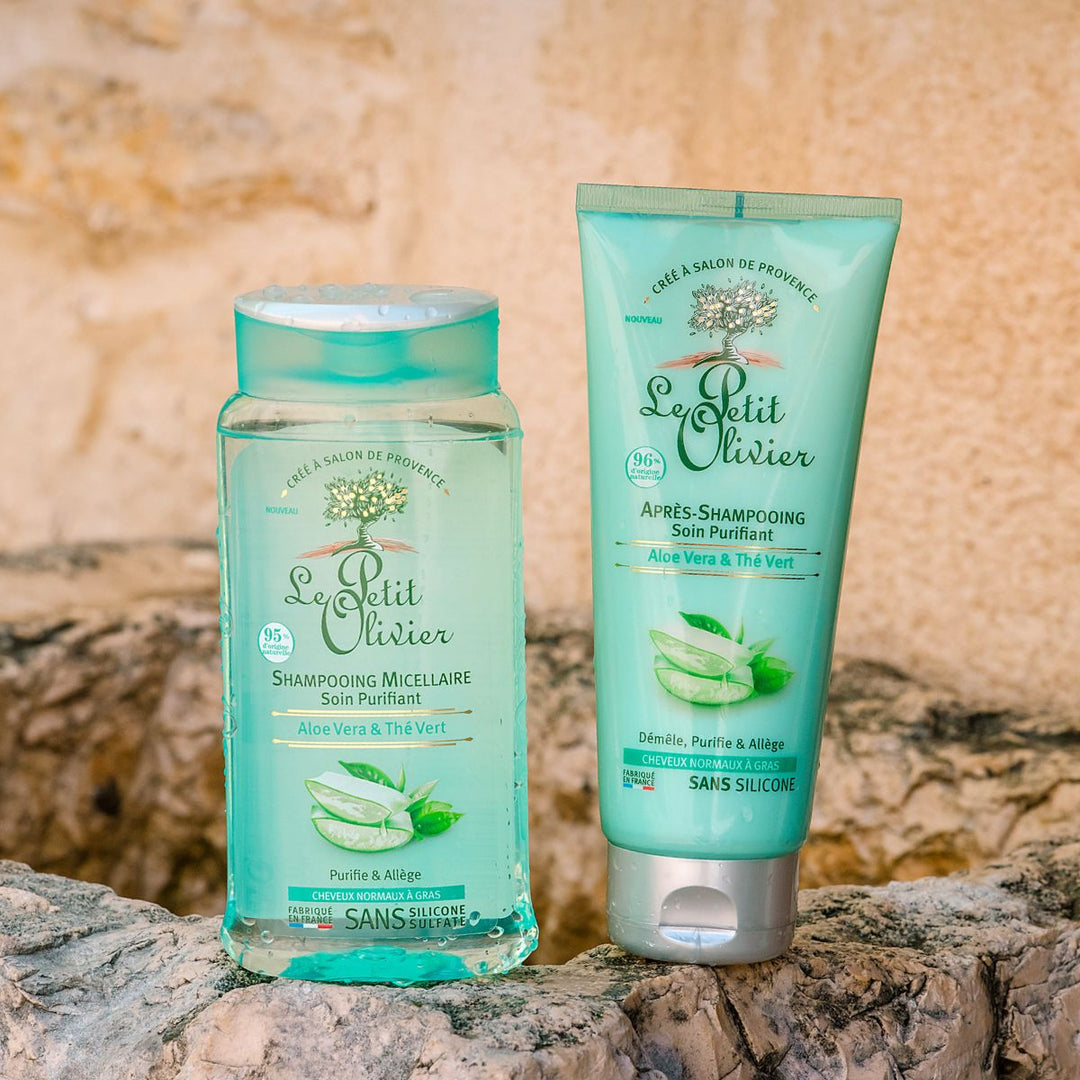 Duo Shampoing et Après-Shampoing - Cheveux Gras