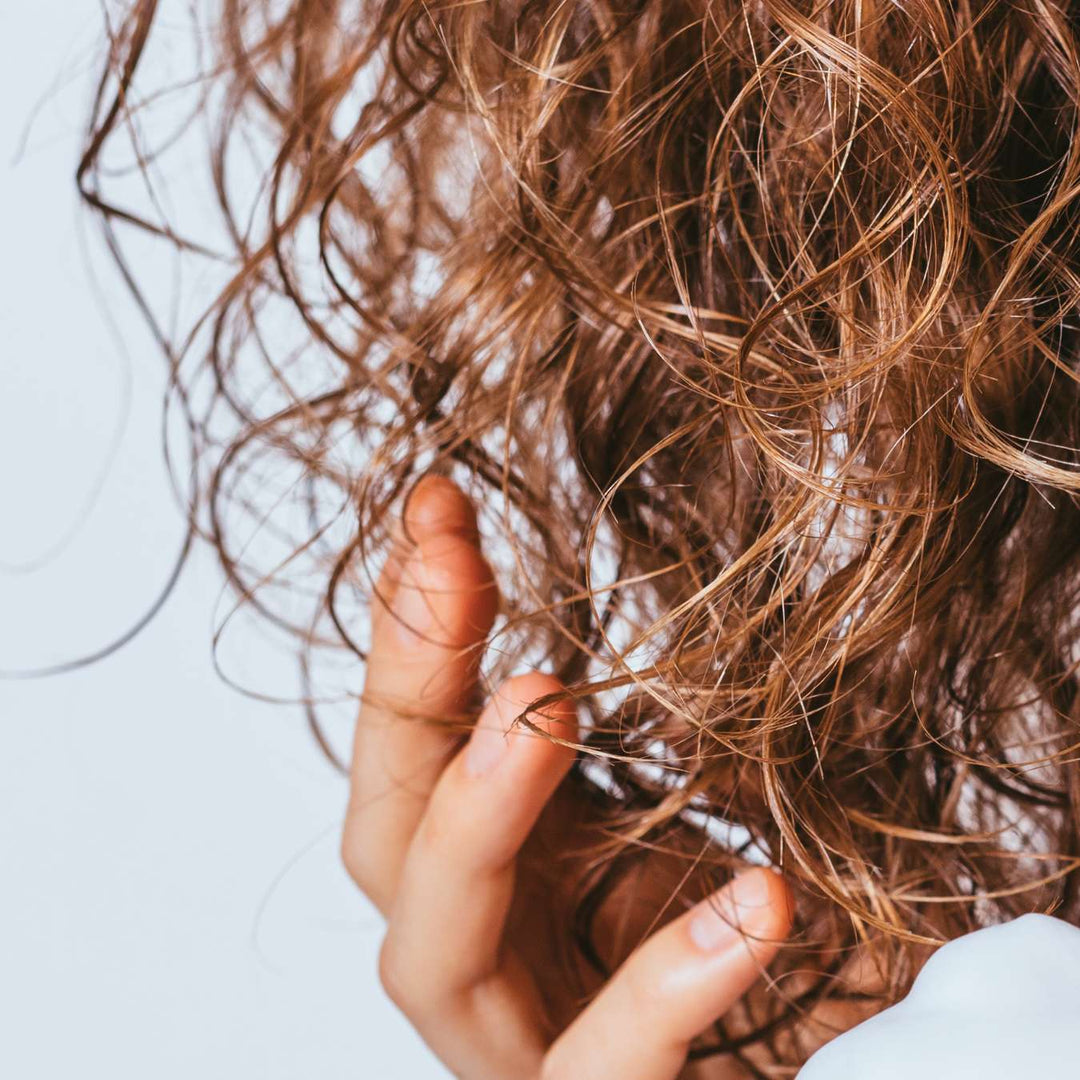 cheveux frises categorie lpo