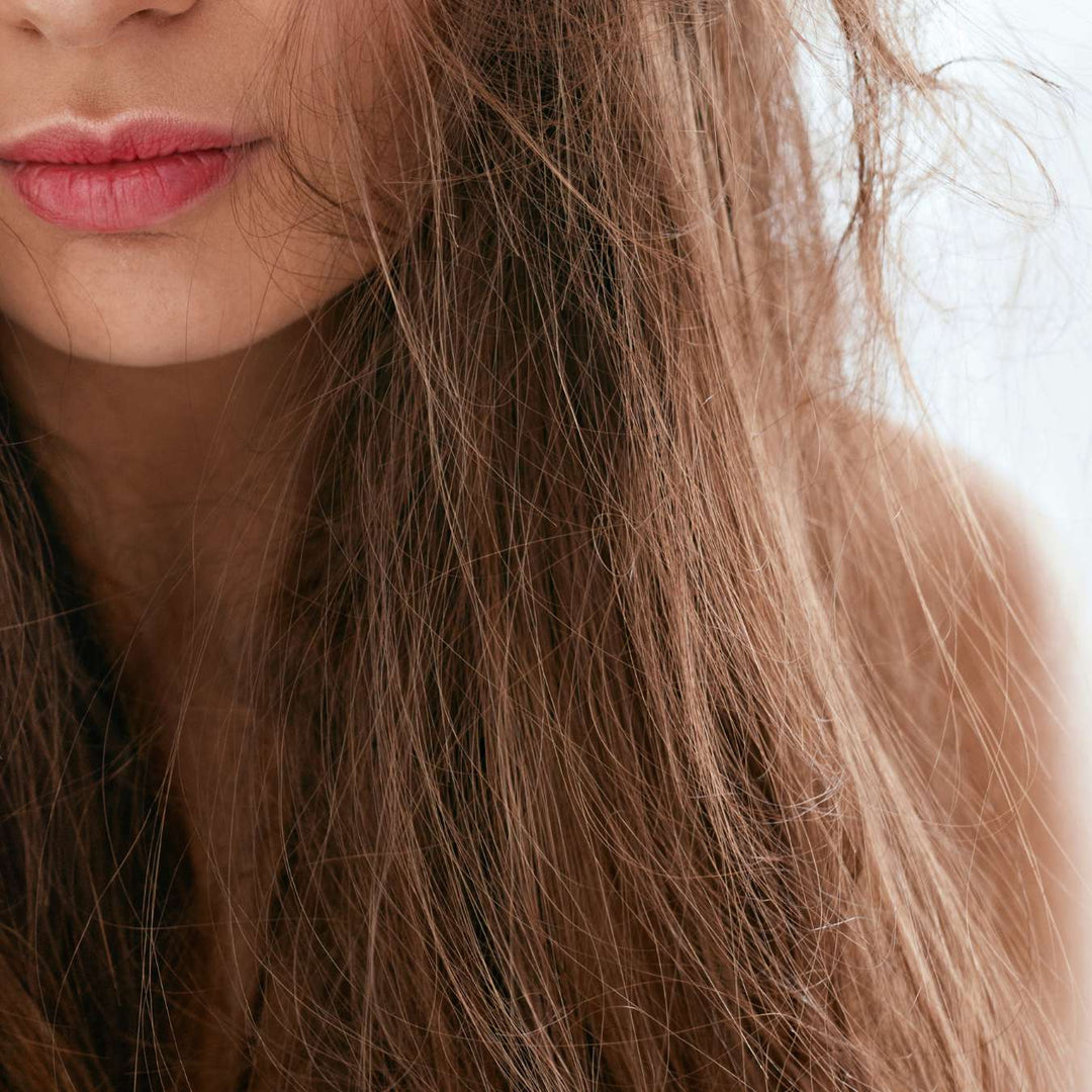 cheveux secs categorie lpo