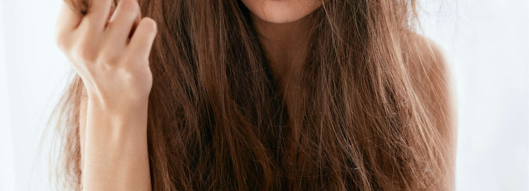 Products for Dry or Damaged Hair