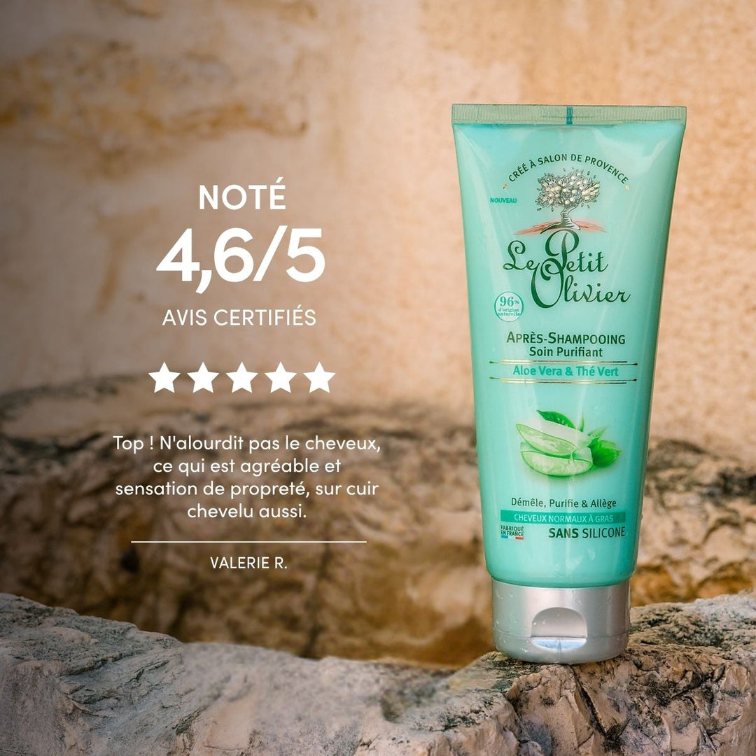Après-Shampoing Cheveux Gras