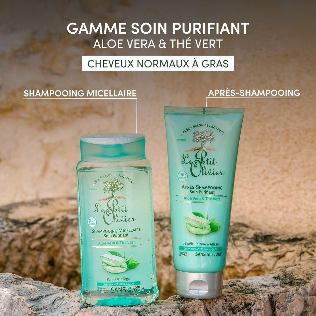 Après-Shampoing Cheveux Gras