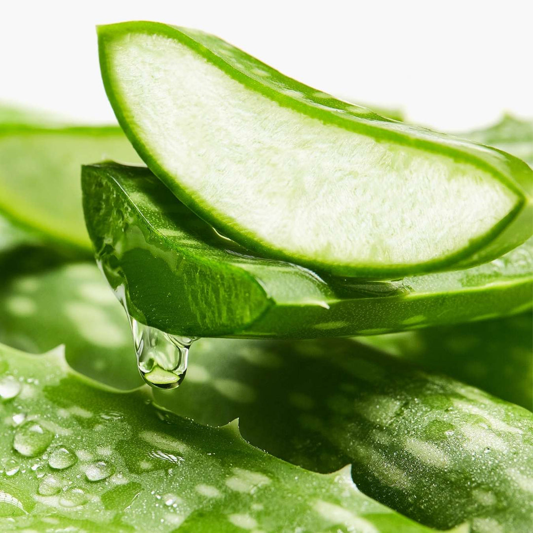 le petit olivier apres shampooing soin purifiant aloe vera the vert ingredient