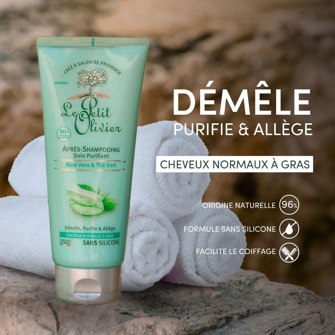 Après-Shampoing Cheveux Gras