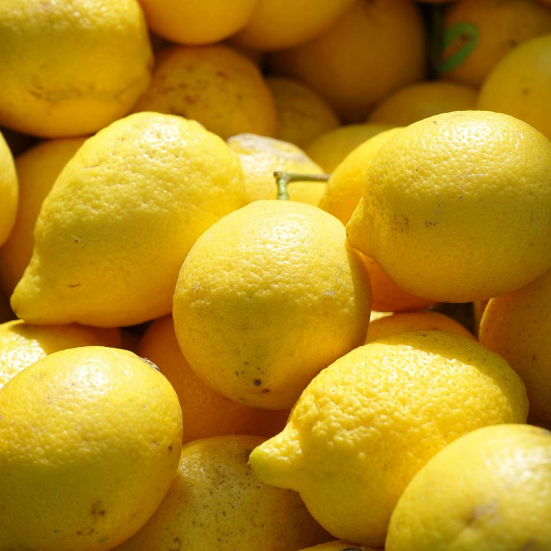 Gros plan sur un tas de citrons jaunes, frais et mûrs, présentant quelques imperfections naturelles, empilés les uns sur les autres sous un soleil éclatant.