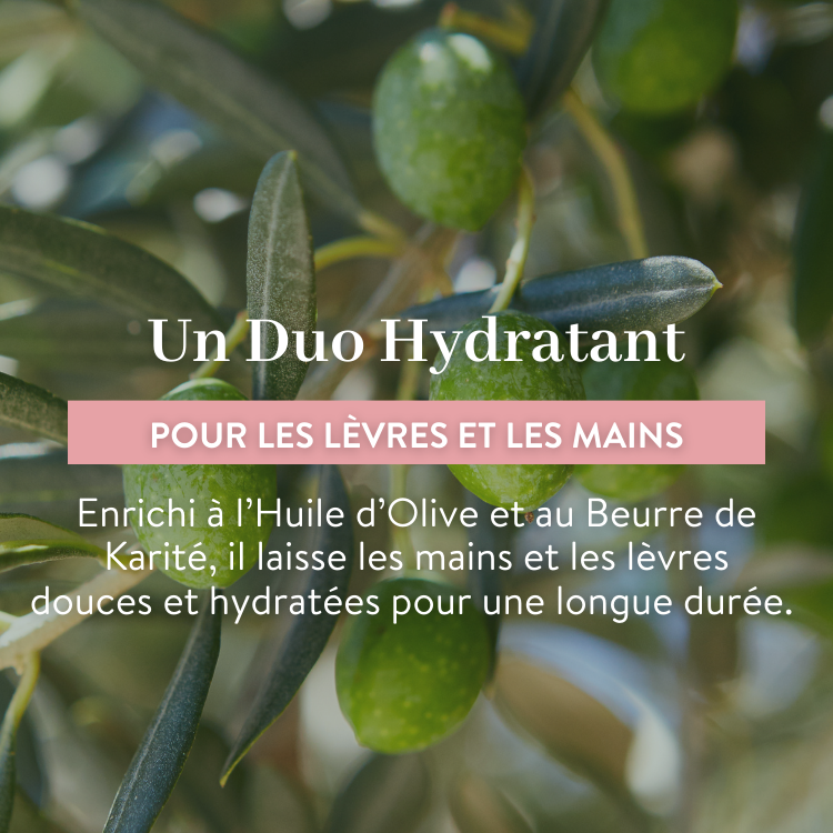 le petit olivier duo moisturizer hands and lips olive ingredient descpng