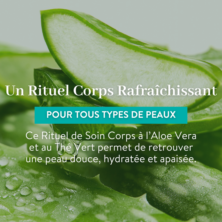 le petit olivier rituel corps rafraichissant aloe vera the vert ingredient descpng