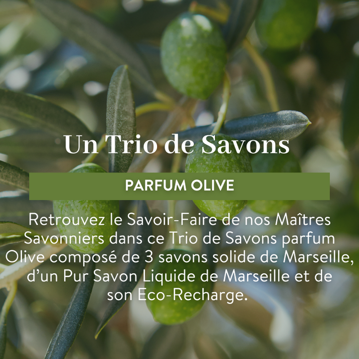 le petit olivier trio savons de marseille olive ingredient descpng