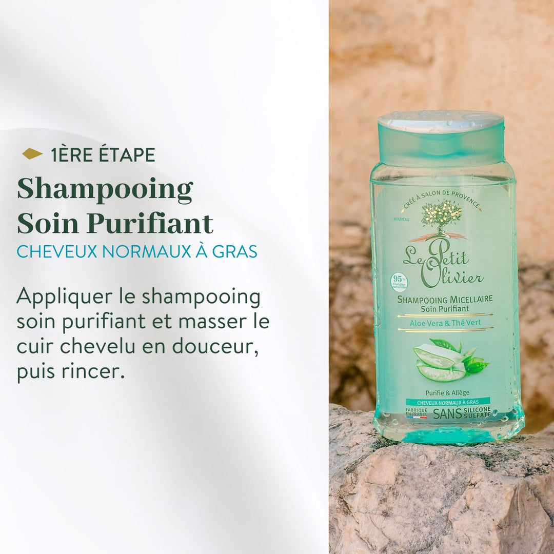 Duo Shampoing et Après-Shampoing - Cheveux Gras