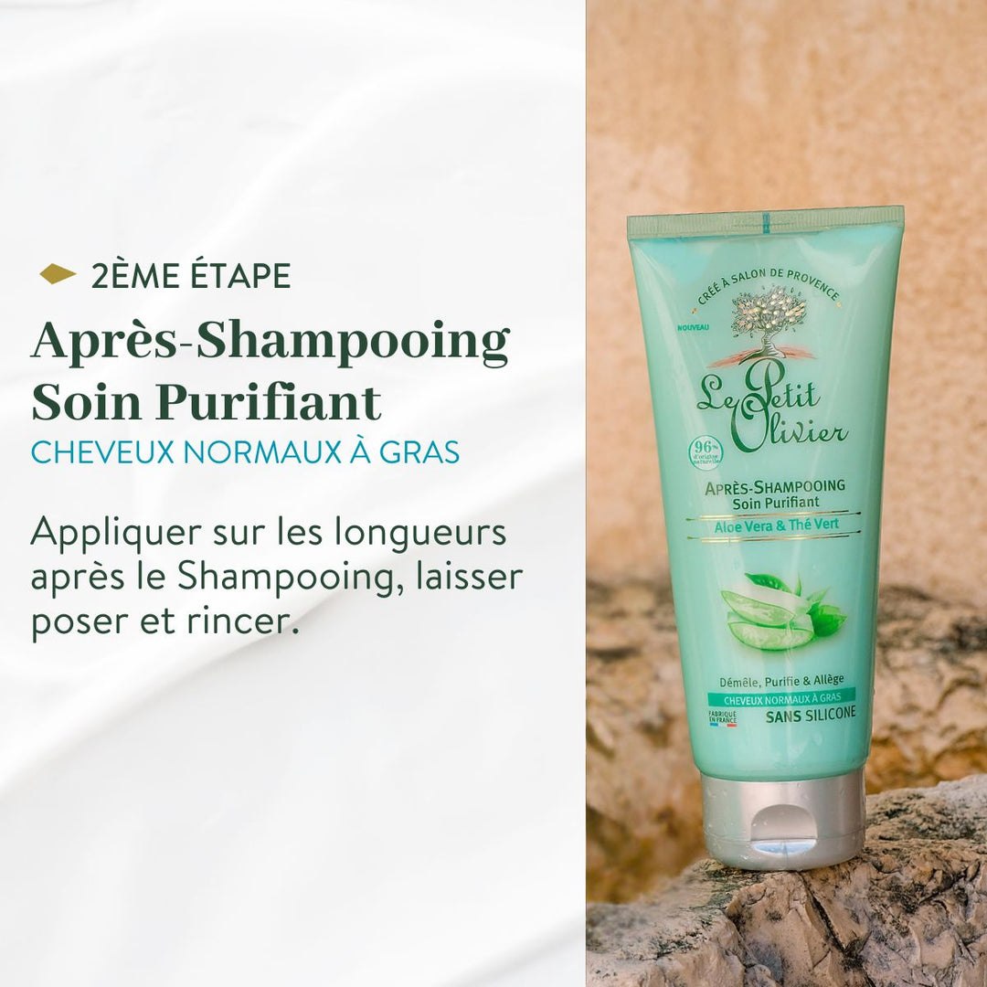 Duo Shampoing et Après-Shampoing - Cheveux Gras