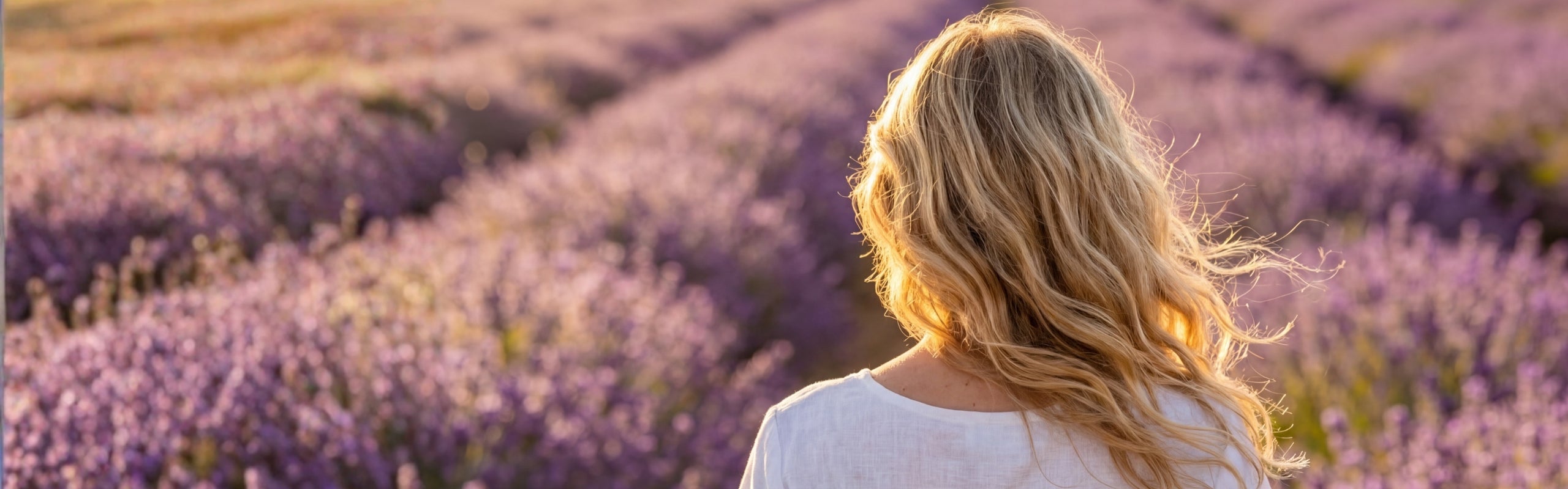 femme de dos aux longs cheveux blonds dans un champ de lavande